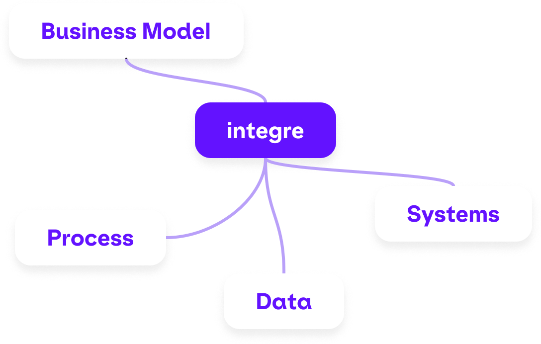 Schematics: Nodes with Business Model, Process, Data and Systems are connected main node - integre.